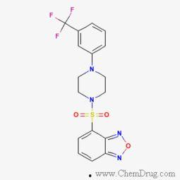 be bas在线播放,跟随“be bas”在线播放，开启奇幻之旅